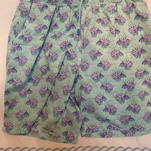 Men’s Peter Millar bathing suit